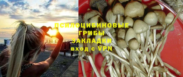 герыч Магас